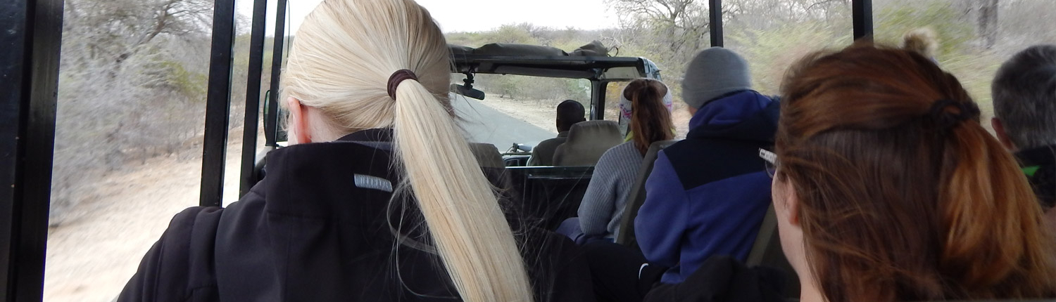 Wild Kruger - Kruger Park Safari - Kruger Park Tours - Kruger National Park Safari