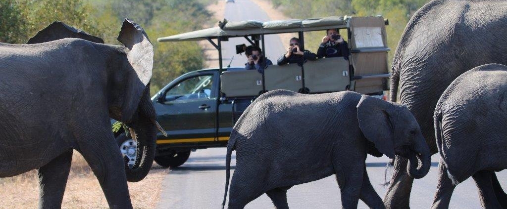 Glamping Kruger Safari