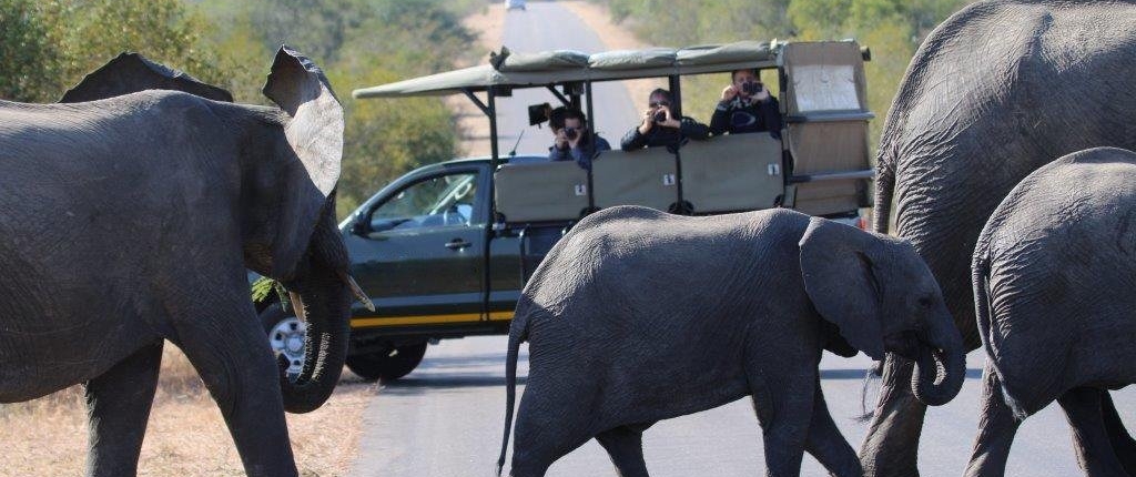 Glamping Kruger Safari