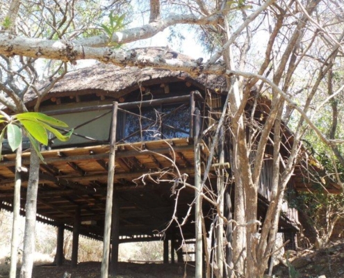 Lodge-Treehouse Kruger Safari